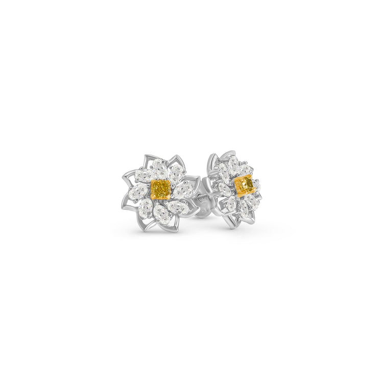 Fancy Yellow Cushion Cut Diamond Cluster Stud Earrings
