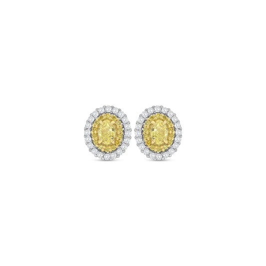 Fancy Yellow Oval Diamond Halo Stud Earring